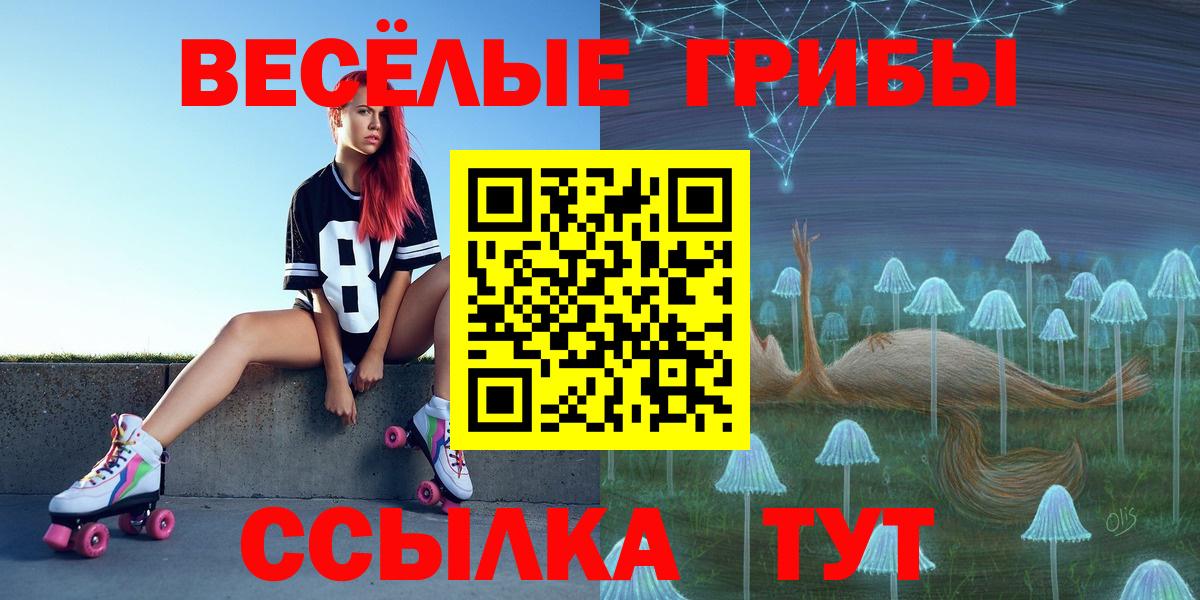Псилоцибиновые грибы Psilocybine cubensis  наркотики  Урюпинск  Вход с VPN  Галлюциногенные грибы мицелий 