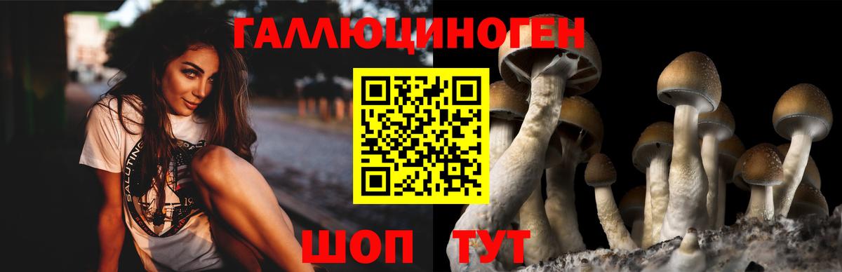 Псилоцибиновые грибы прущие грибы Урюпинск